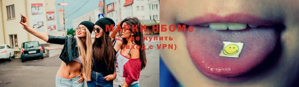 твердый Мегион