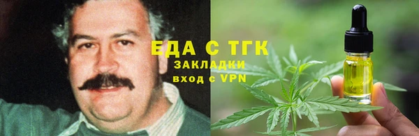 прущие грибы Медногорск