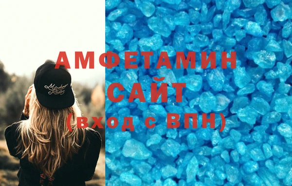 прущие грибы Медногорск