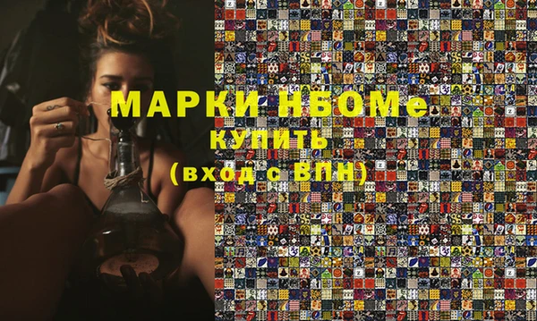 прущие грибы Медногорск