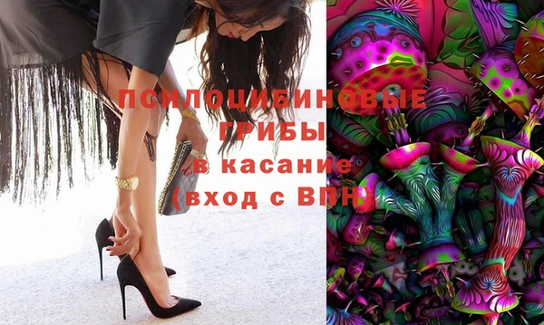 твердый Мегион