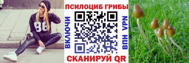 ОМГ ОМГ ссылка  Магадан  Галлюциногенные грибы GOLDEN TEACHER 