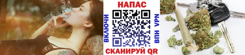 Конопля конопля  Магадан 